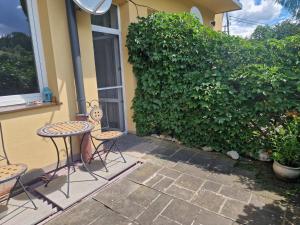 Zielona Przystań Apartament z widokiem na Pieniny