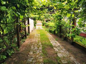Lipowa 6 Apartament