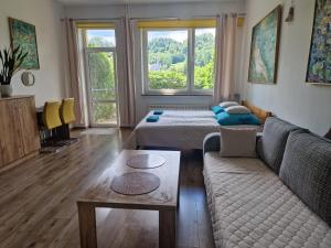 Zielona Przystań Apartament z widokiem na Pieniny
