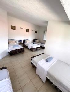 Apartments Vila Fata