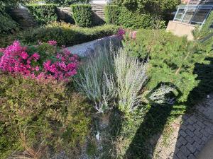 Apartament MAREA GOLD-Blisko morza