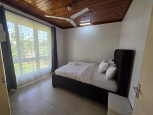 Genesis executive suites