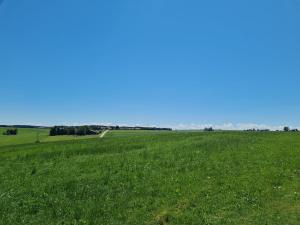 NaturZeit Allgäu
