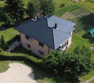 Plav`s dream