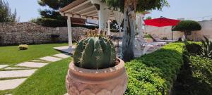 Intera Villa Cà del Mar con piscina rocciosa