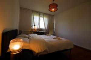 Comfortable Home in Zürich Altstetten