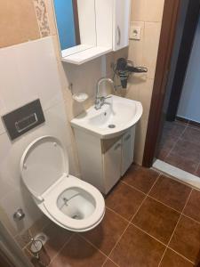 Suite 40 Hotel