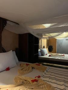 Sazani Beach Lodge and Tidal Lounge