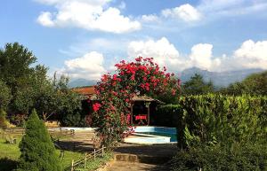 Family Hotel & Tavern Svatovete