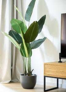 RentPlanet - Apartament Joliot-Curie