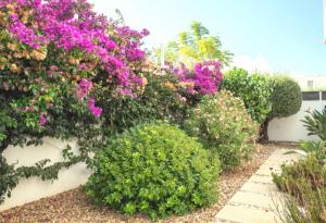 Villa Ilhas with private heated pool and jacuzzi Lagos