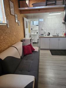 INDEPENDENT HOUSE Antresola