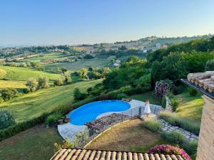 Nido sulle Colline