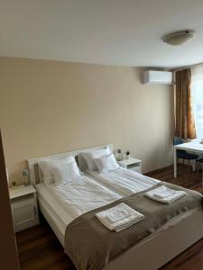Viktória Apartman Szeged-2