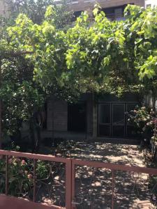 House Ivana Gorana