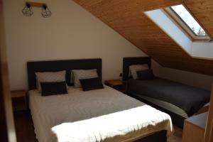 Apartament pod Orzechem IV