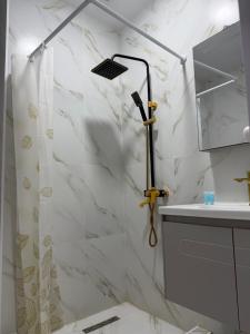 Fantastico 509