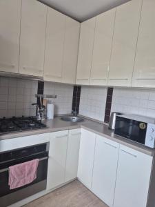 Apartment in the city center