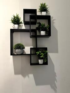 MCSC Luxury Paradise Near Nesco