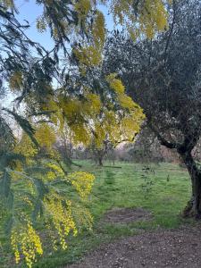 B&B Notti di stelle