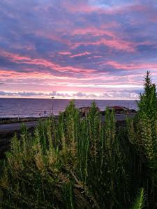 BLUE HORIZON - Free parking, 100m to the beach