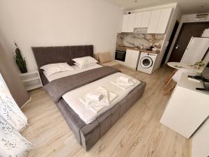 Private Apartment in Paradiso