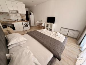 Private Apartment in Paradiso