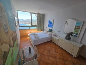 Trinisol View