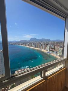 Trinisol View