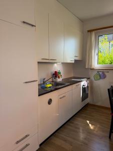 Res Roncaccio, Cancro by HolAp SA