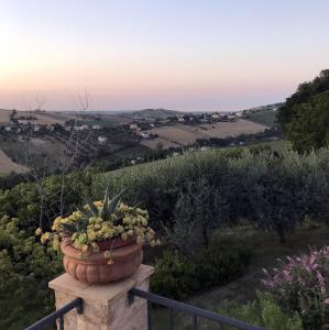 Casa Olivi, Fermo