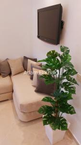 Cozy apartment near Asilah beach and countriside #1