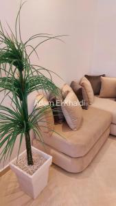 Cozy apartment near Asilah beach and countriside #1