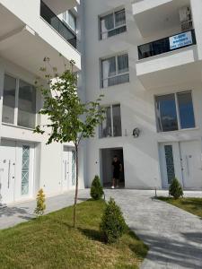 Kurti Apartment