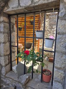 Apartment CLIA