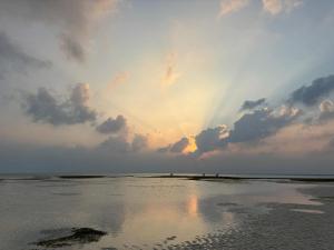 Oasis Retreat Dhiffushi