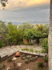 Olive Grove House