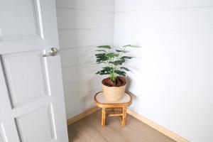Entire house at Kokol - Kokol Stay