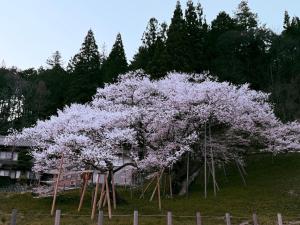 Sou - Vacation STAY 12879v