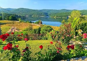Vila Vera Borsko Jezero