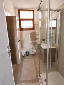 Casa Elena Apartmento con terrazza a Viareggio
