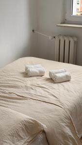 Sunny apartament near to forest