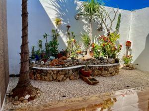 Casa Lupita