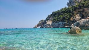 Blu Navarrese 1