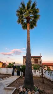 Cozy Mediterranean house 5 minutes from the sea