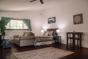 Coastal Studio