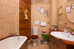 Classic elegant Studio - calea victoriei - pumo properties