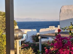 Mykonos Serenity 1