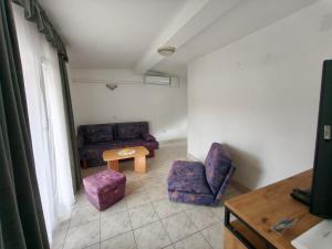 Apartments Šešo A