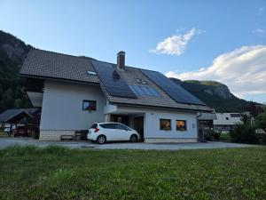 Kamnje Nest